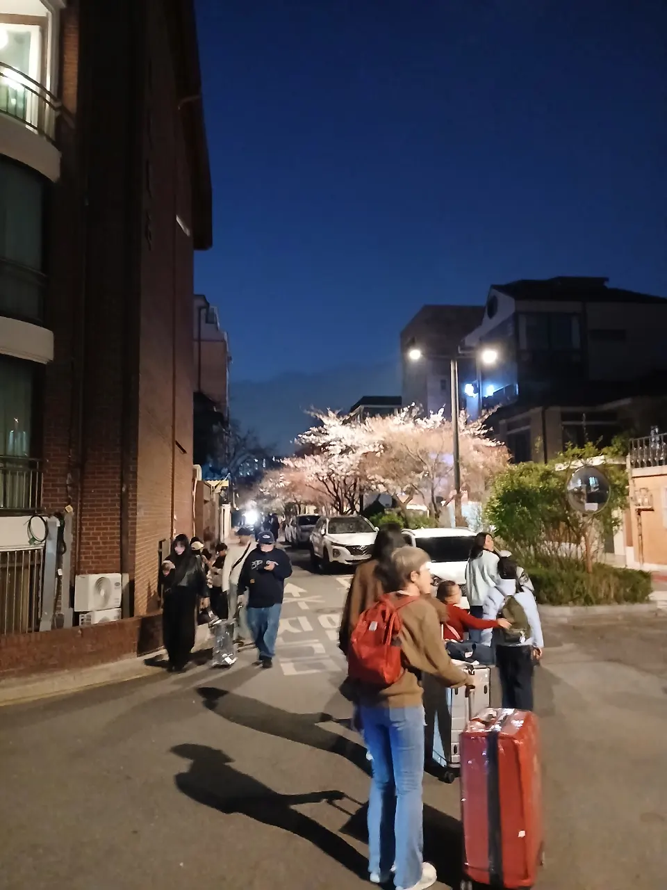 延南洞樱花约会 - 255-5 Yeonnam-dong, Seoul