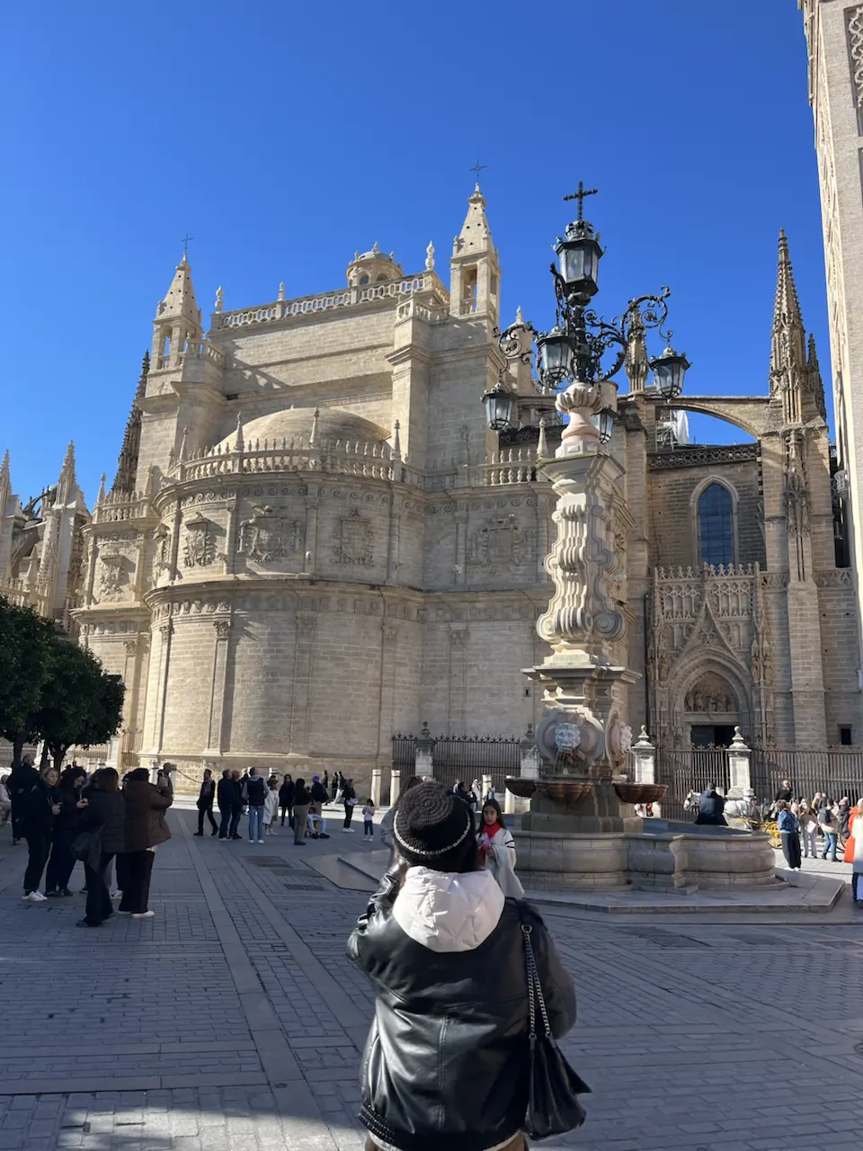 蜜月第5天：波尔图购物，参观塞维利亚大教堂 - 1–99 Cardenal Carlos Amigo, Seville
