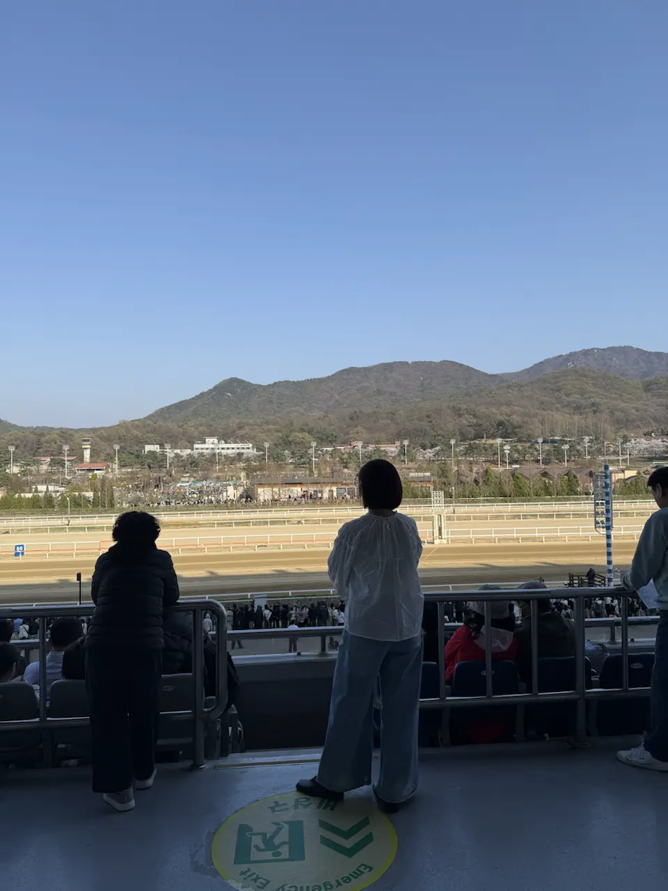 果川赛马公园樱花约会 - Juam-dong, Gwacheon-si