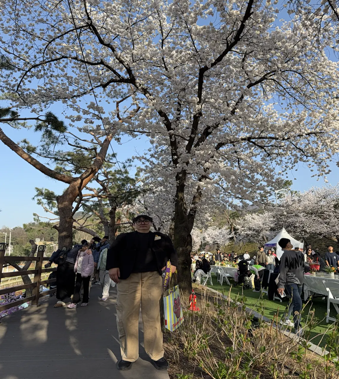 果川赛马公园樱花约会 - 685-56 Juam-dong, Gwacheon-si