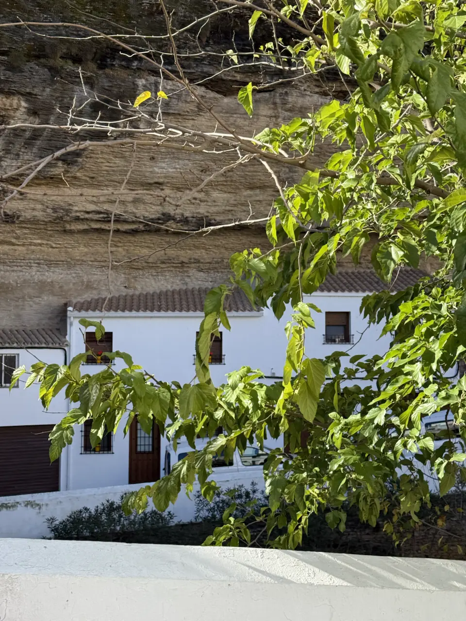 塞维利亚-格拉纳达沙丁之旅❤️ - 107–199 Calle de las Cuevas del Sol, Setenil de Las Bodegas