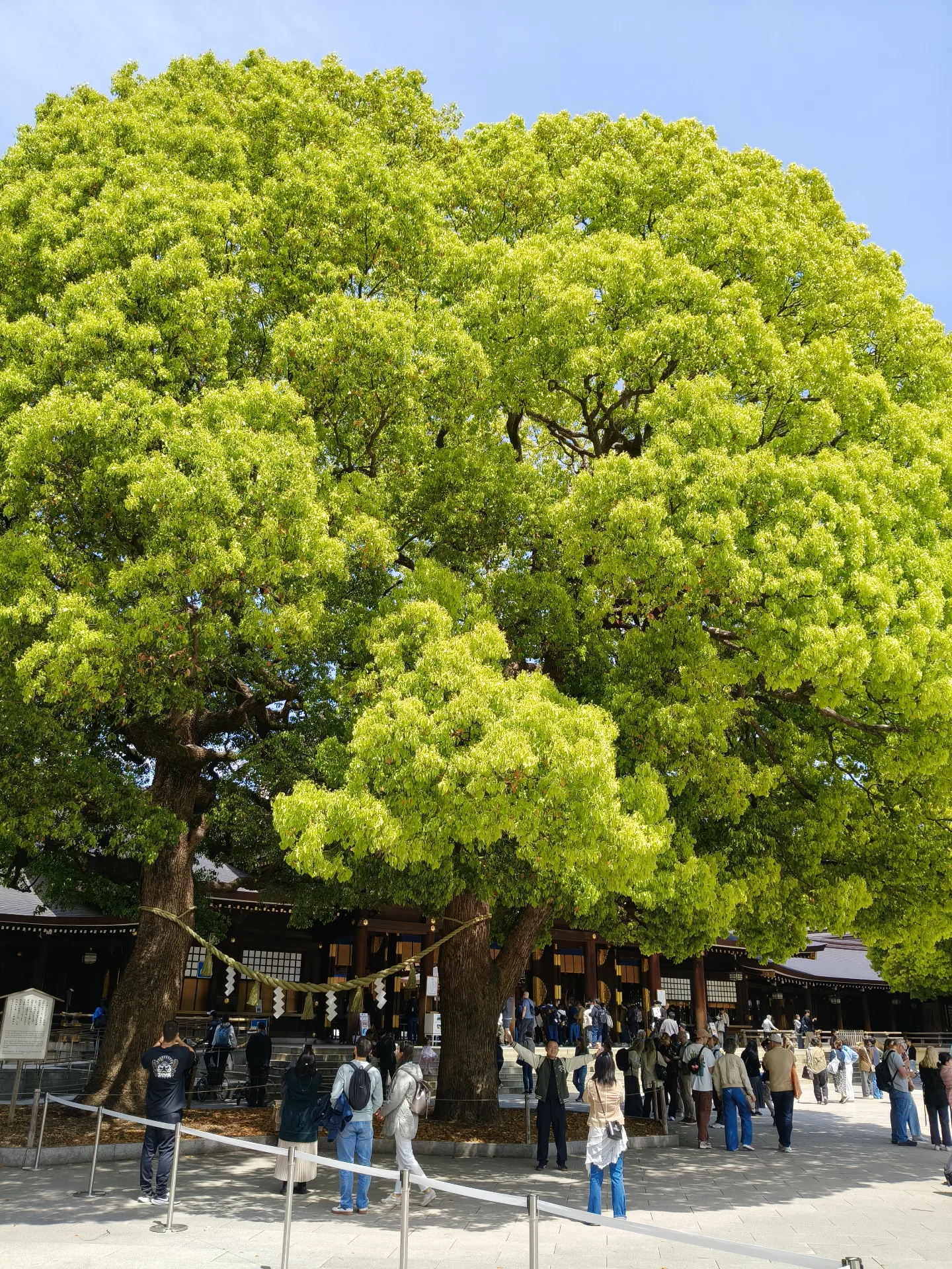 Meiji Jingu