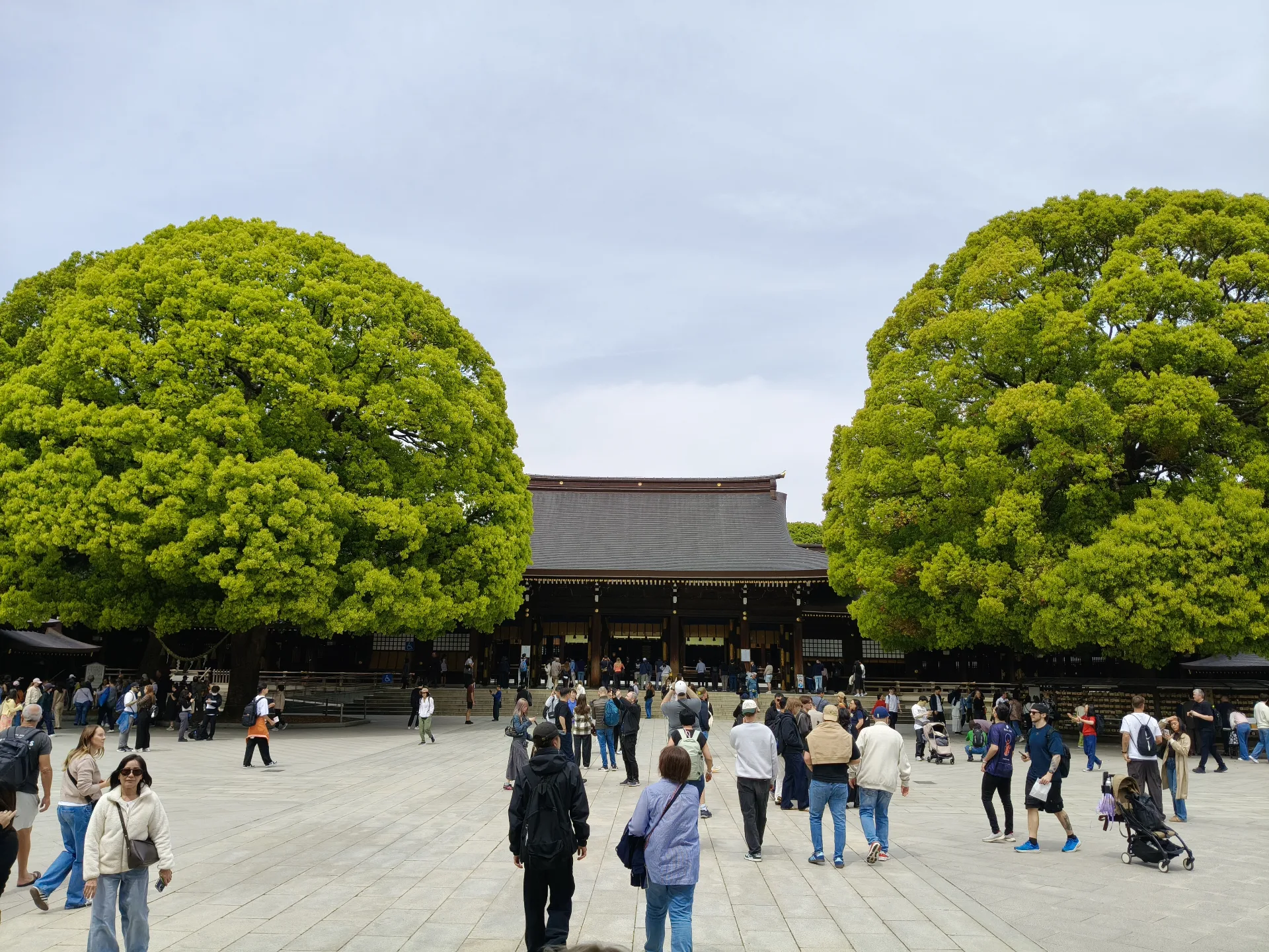 Meiji Jingu