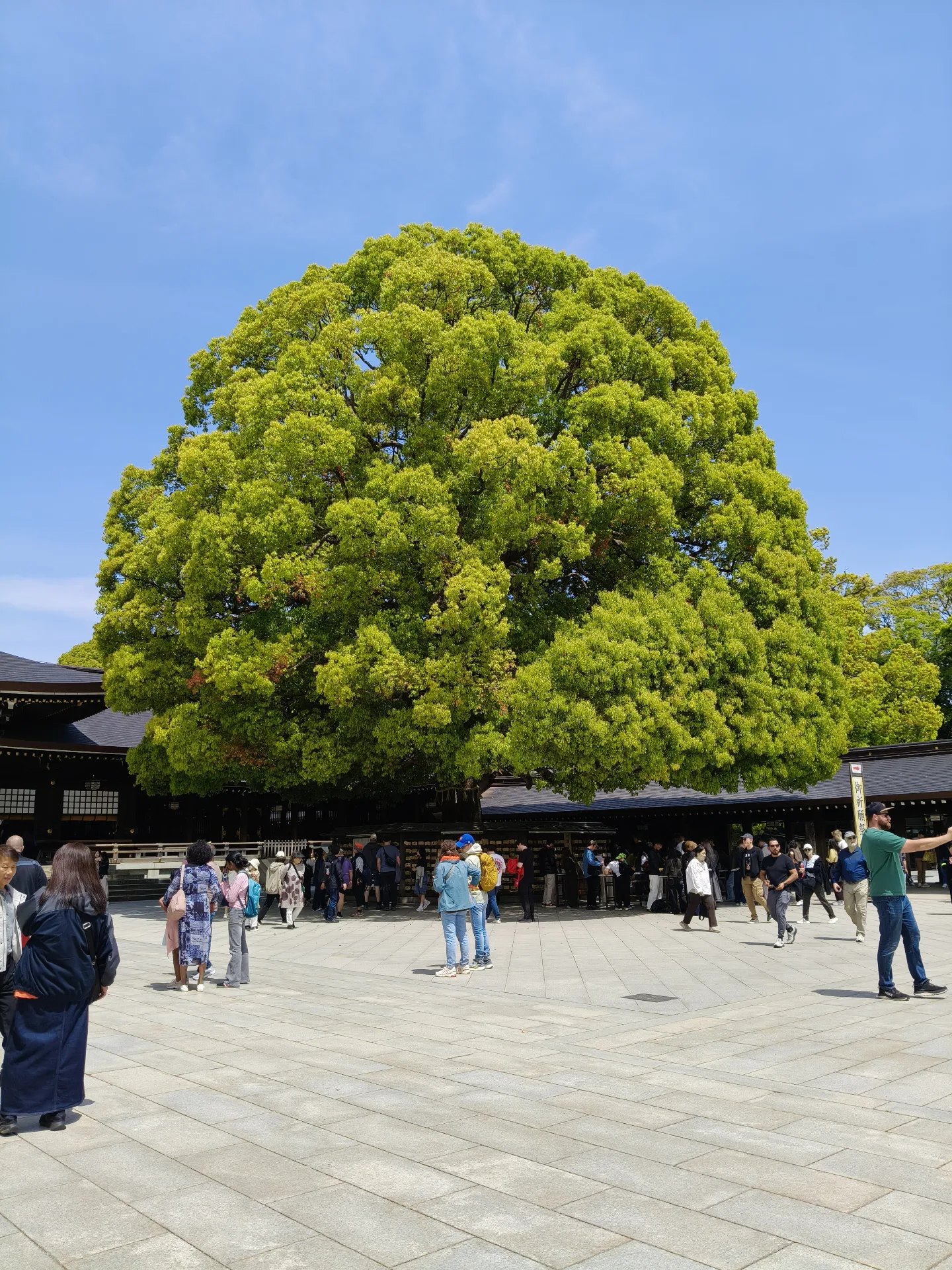 Meiji Jingu