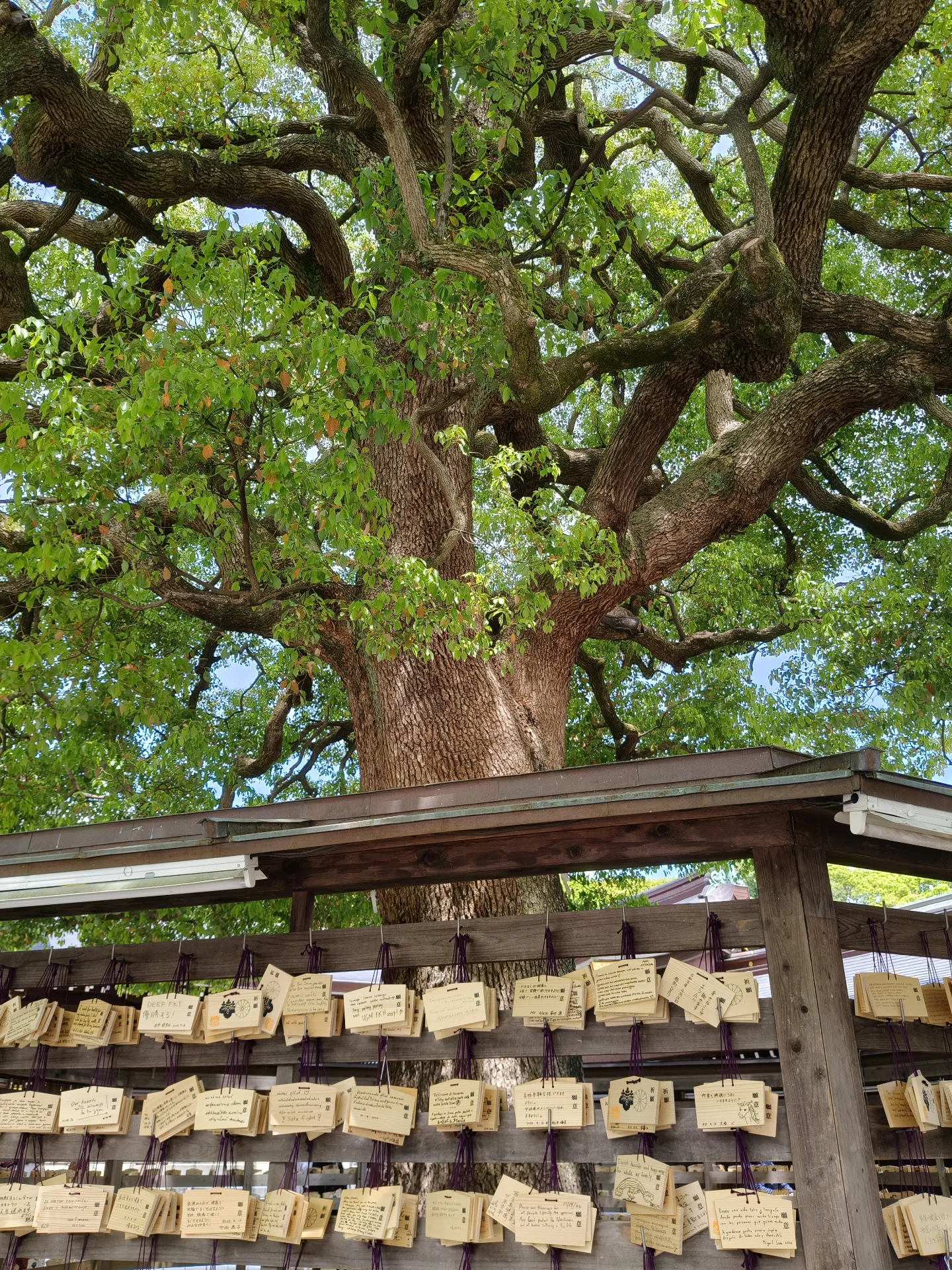 Meiji Jingu