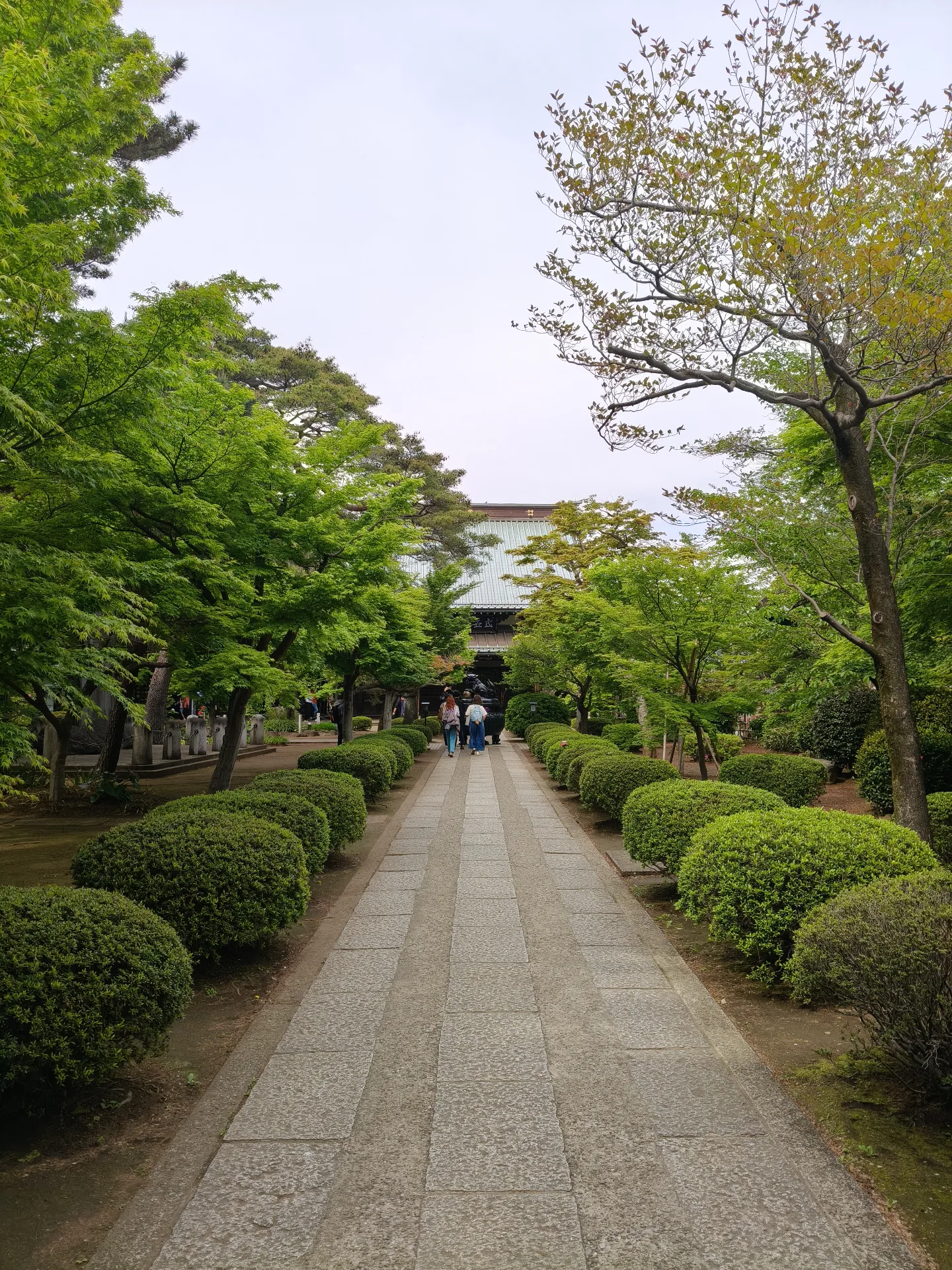 Japan 2026 - Setagaya City/Japan