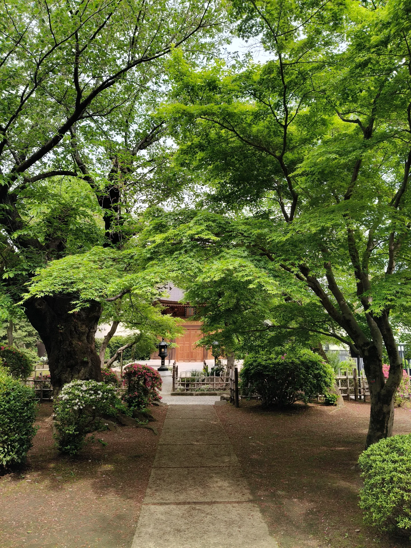 Japan 2026 - Setagaya City/Japan