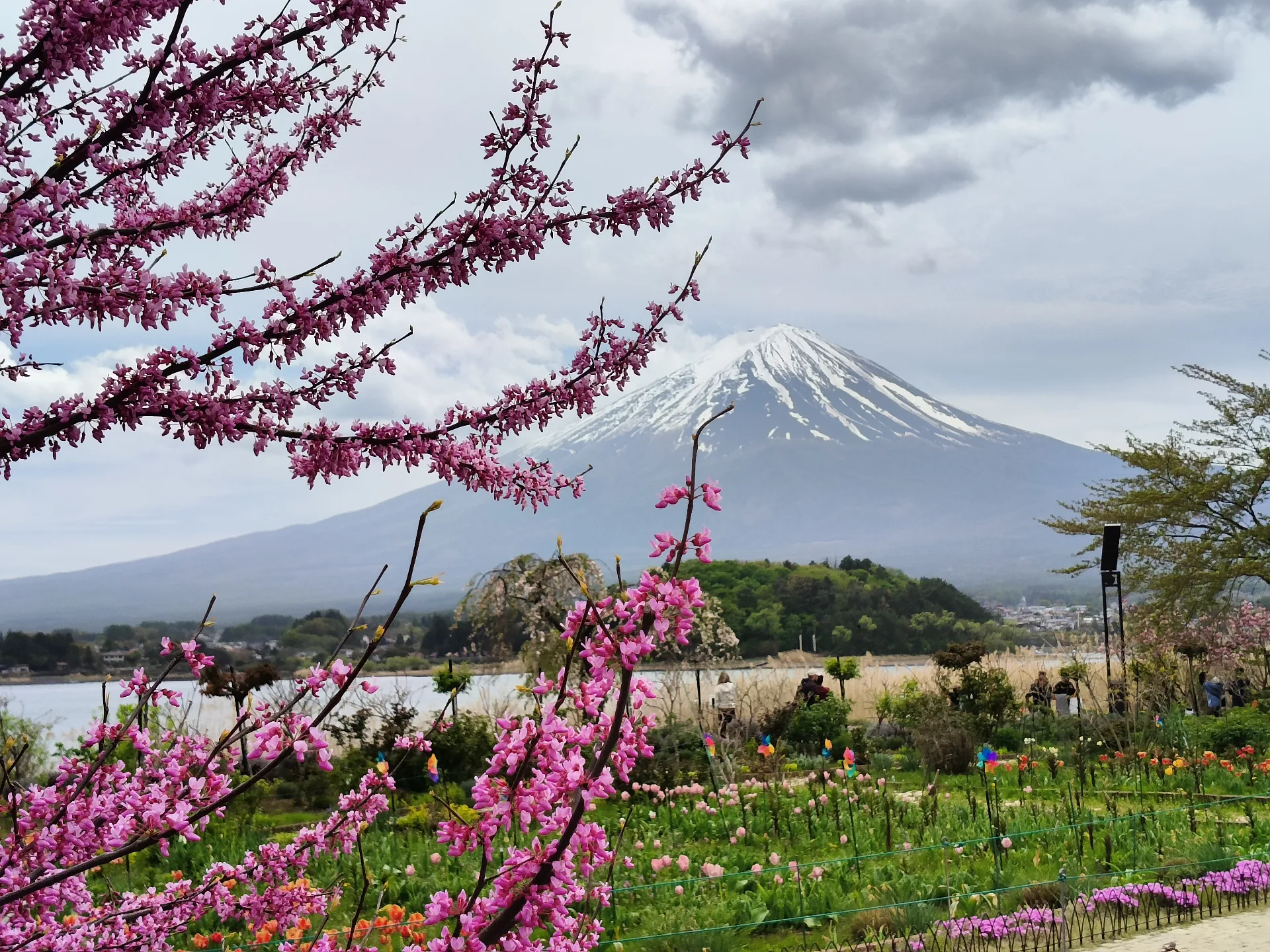 Oishi Park