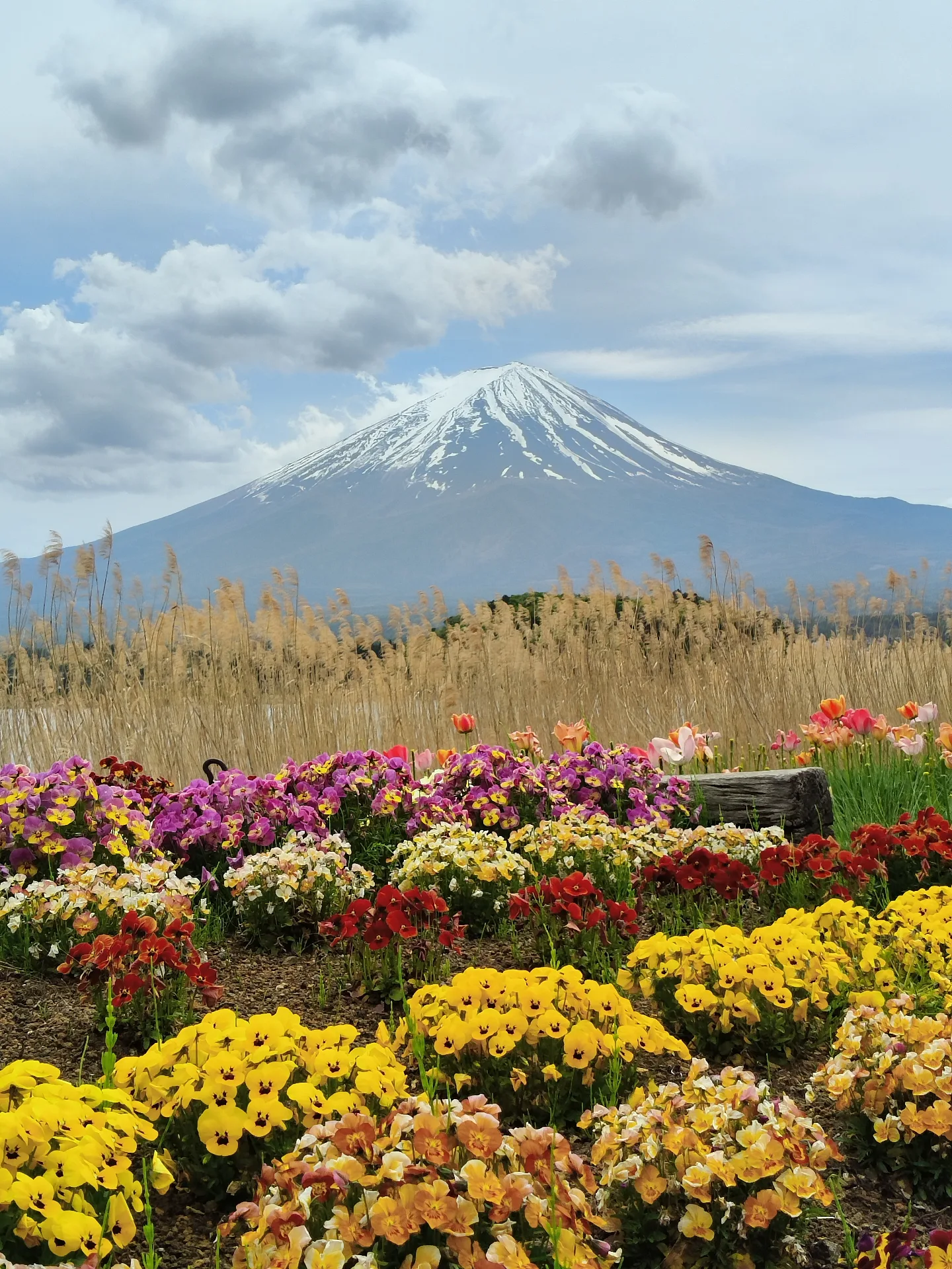 Oishi Park