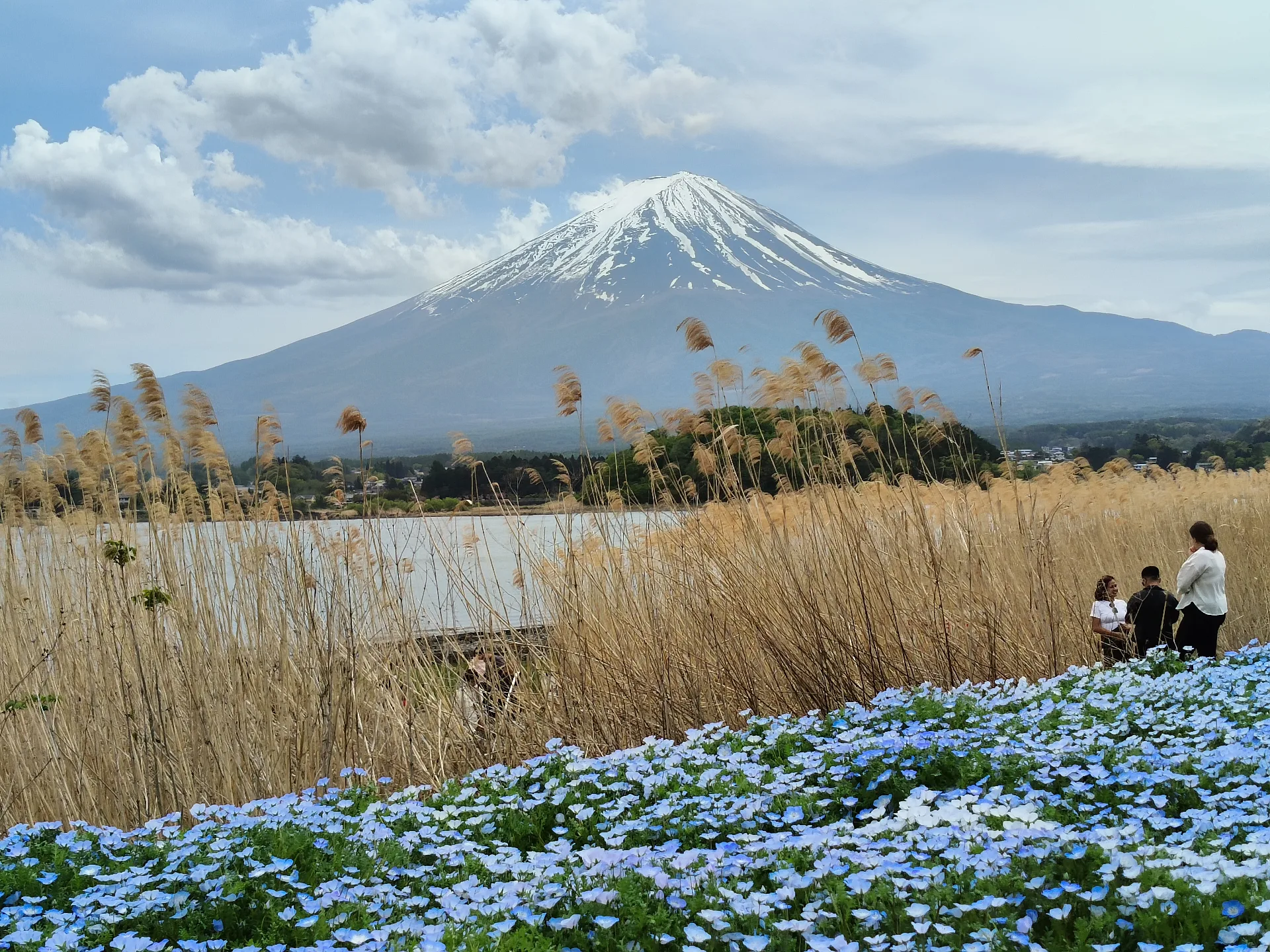 Oishi Park