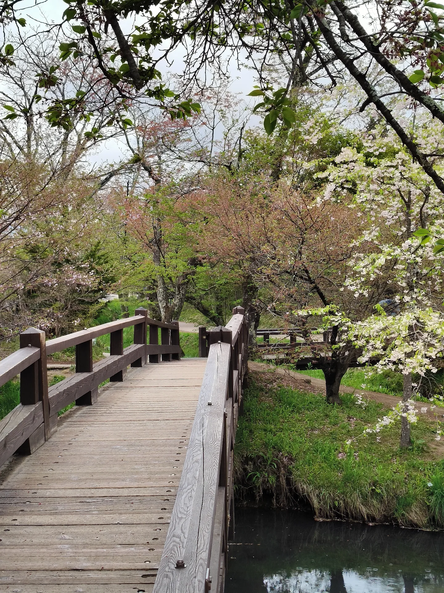 Oshino Hakkai