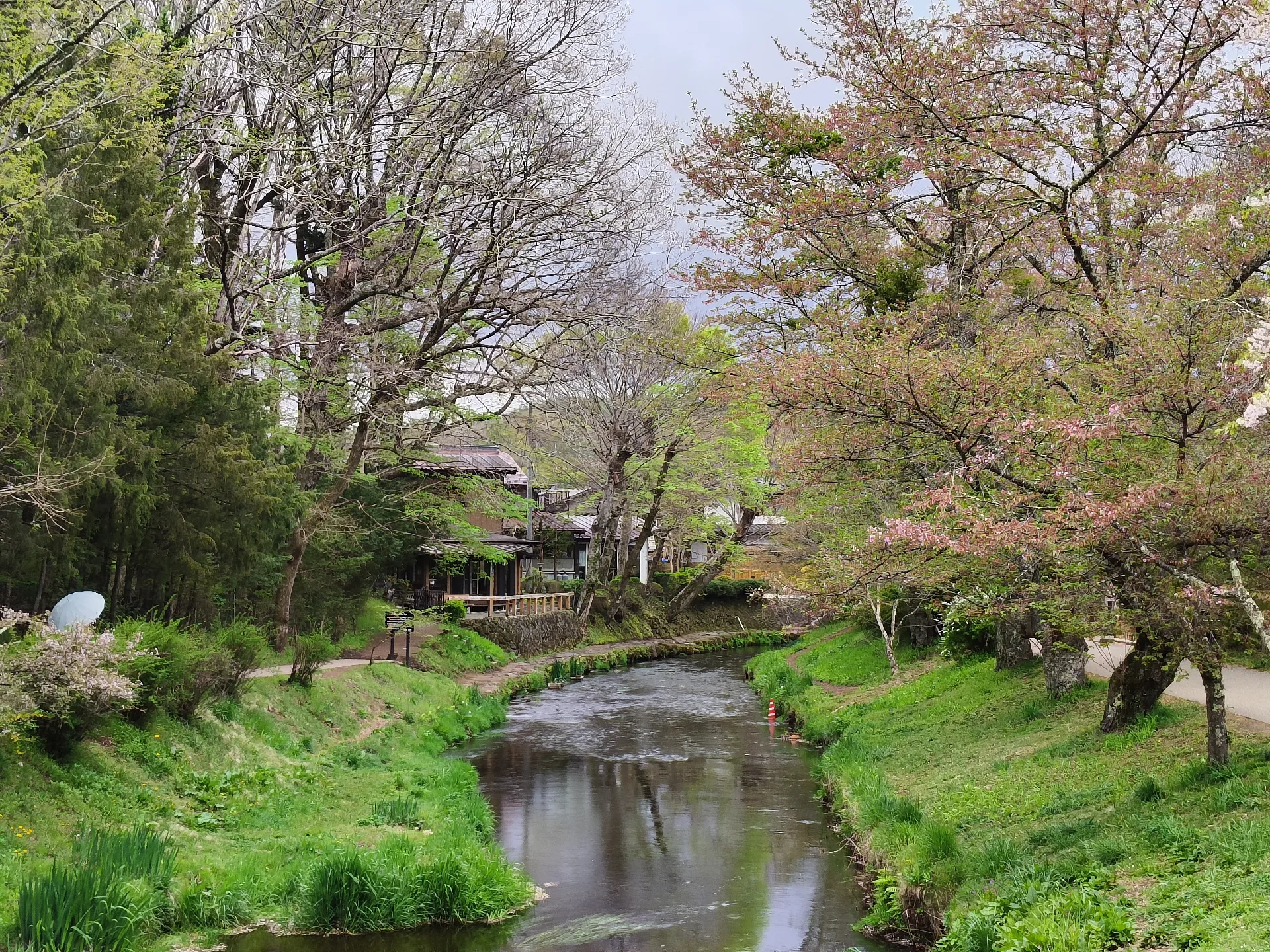 Oshino Hakkai
