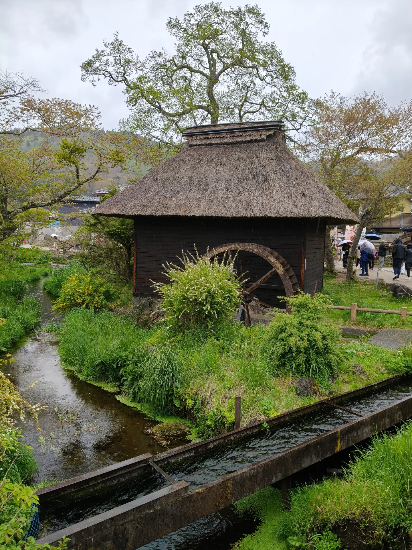 Oshino Hakkai
