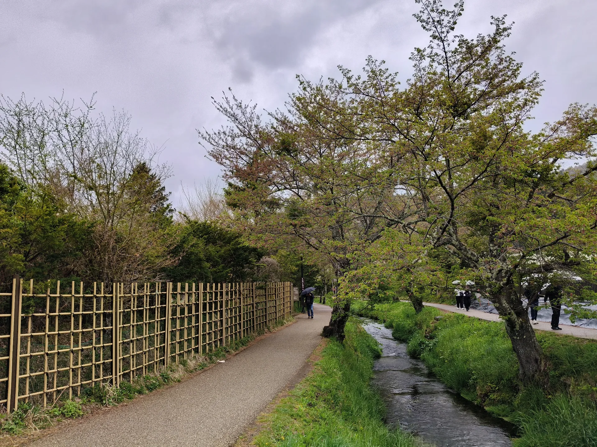 Oshino Hakkai